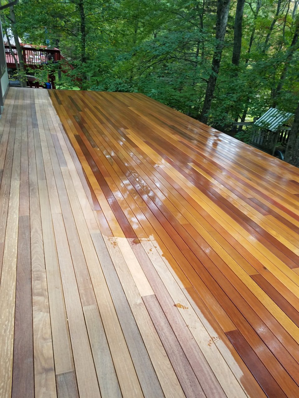 A freshly sanded and oil-finished hardwood deck glowing rich amber in the sun, overlooking the woods