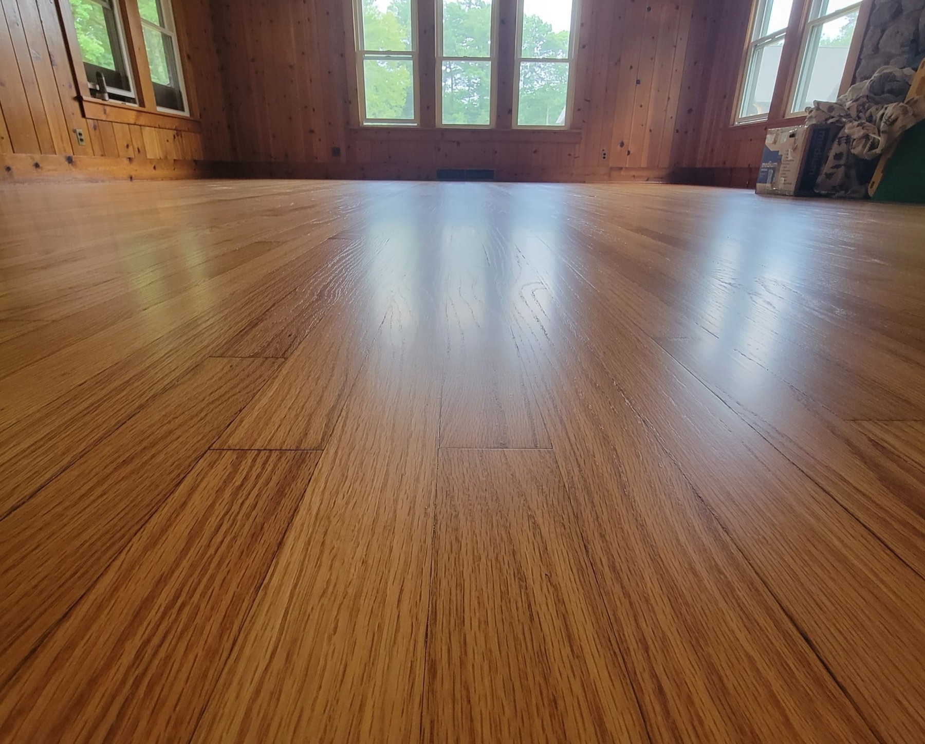 Freshly finished solid oak floor glowing in a sunlit cabin great room